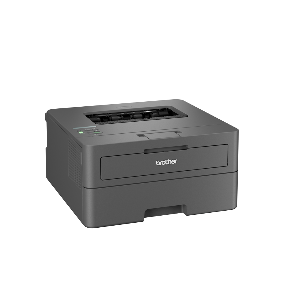 Brother HL-L2400DWERE1 Colour Bundle - Image 3